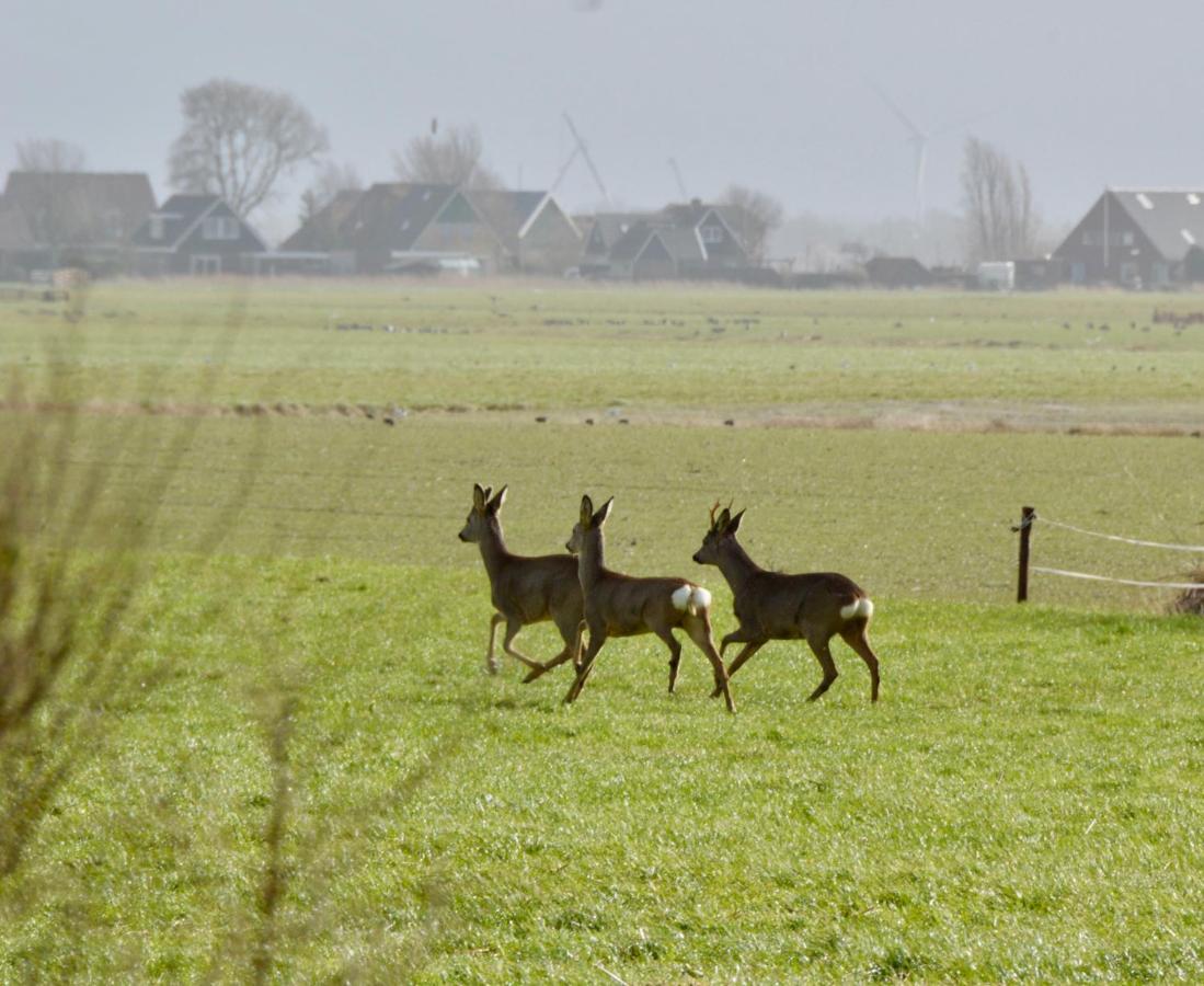 Het Melkhuis Op Prachtig Landgoed Koepeltjesplaats Gaast Экстерьер фото