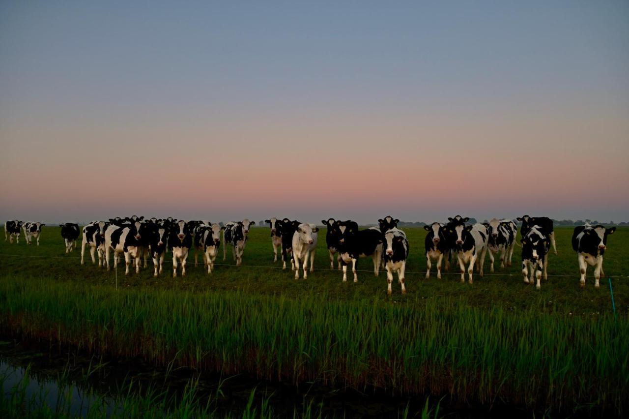 Het Melkhuis Op Prachtig Landgoed Koepeltjesplaats Gaast Экстерьер фото